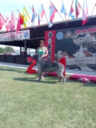 Romanian Champion 
